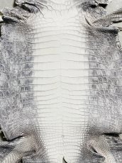 画像3: ヒマラヤクロコダイル　ナチュラル　30　ワニ革　ナイルクロコダイル　クロコダイル革　エキゾチックレザー (3)