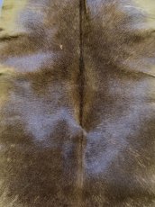 画像2: ヘアーカーフ　キャメル　牛革毛付き　毛皮　 (2)