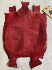 画像1: トカゲ革　リザード　レッド　27cm (1)