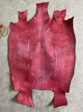 画像6: トカゲ革　リザード　レッド　27cm (6)
